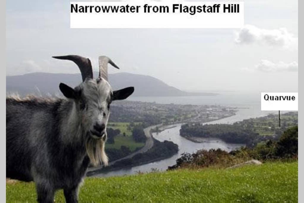 Quarvue Farmhouse, Unique house with views of Mournes&Cooleys O Meith Extérieur photo